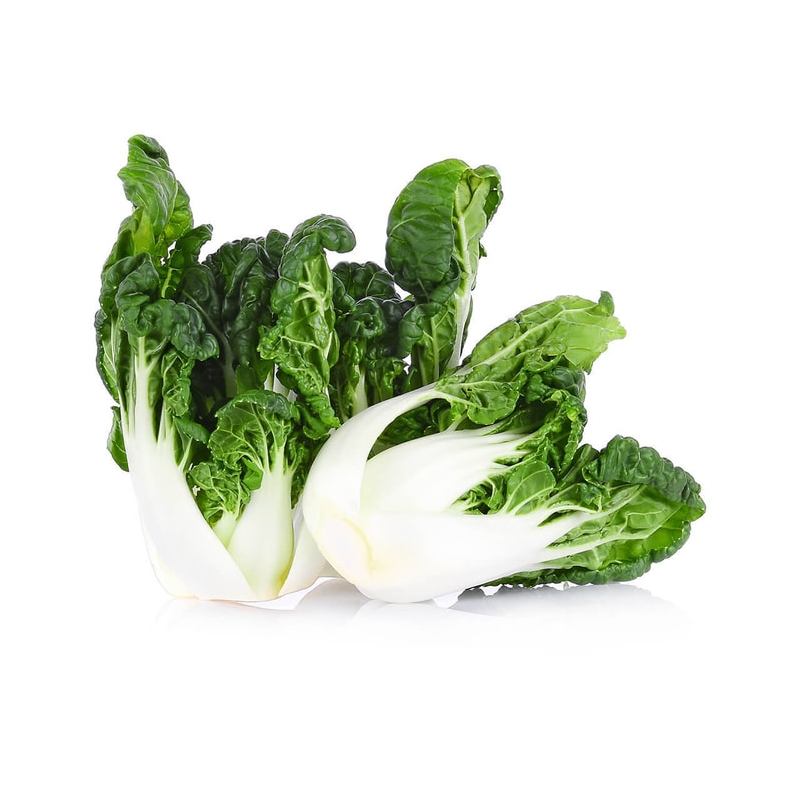 Baby Bok Choy Sprout ( Bag )